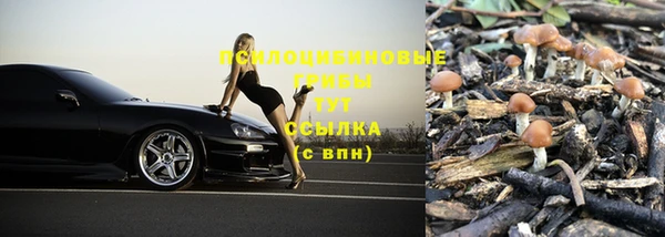 mdpv Володарск