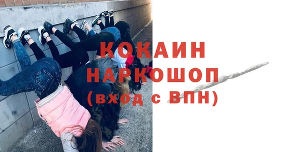 стаф Верея
