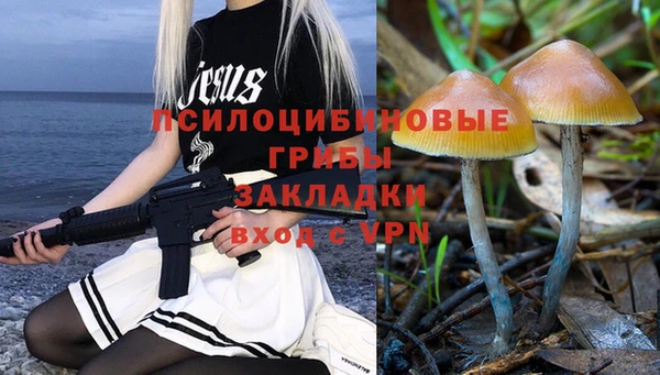 mdpv Володарск