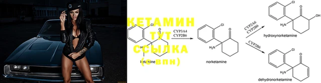 mdpv Володарск