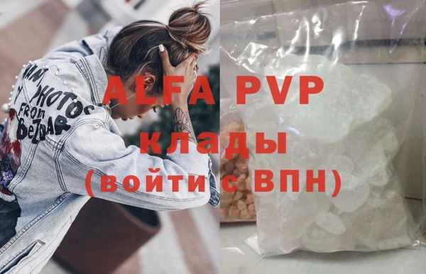 стаф Волосово